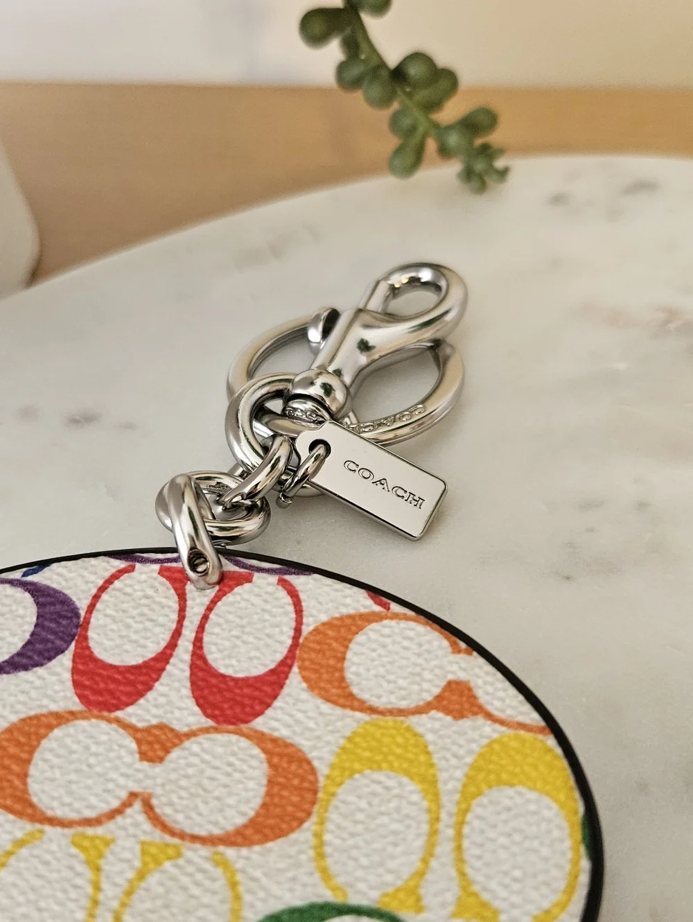 COACH Skate Not Hate Rainbow Wing Keychain ๐ - Picture 6 of 8